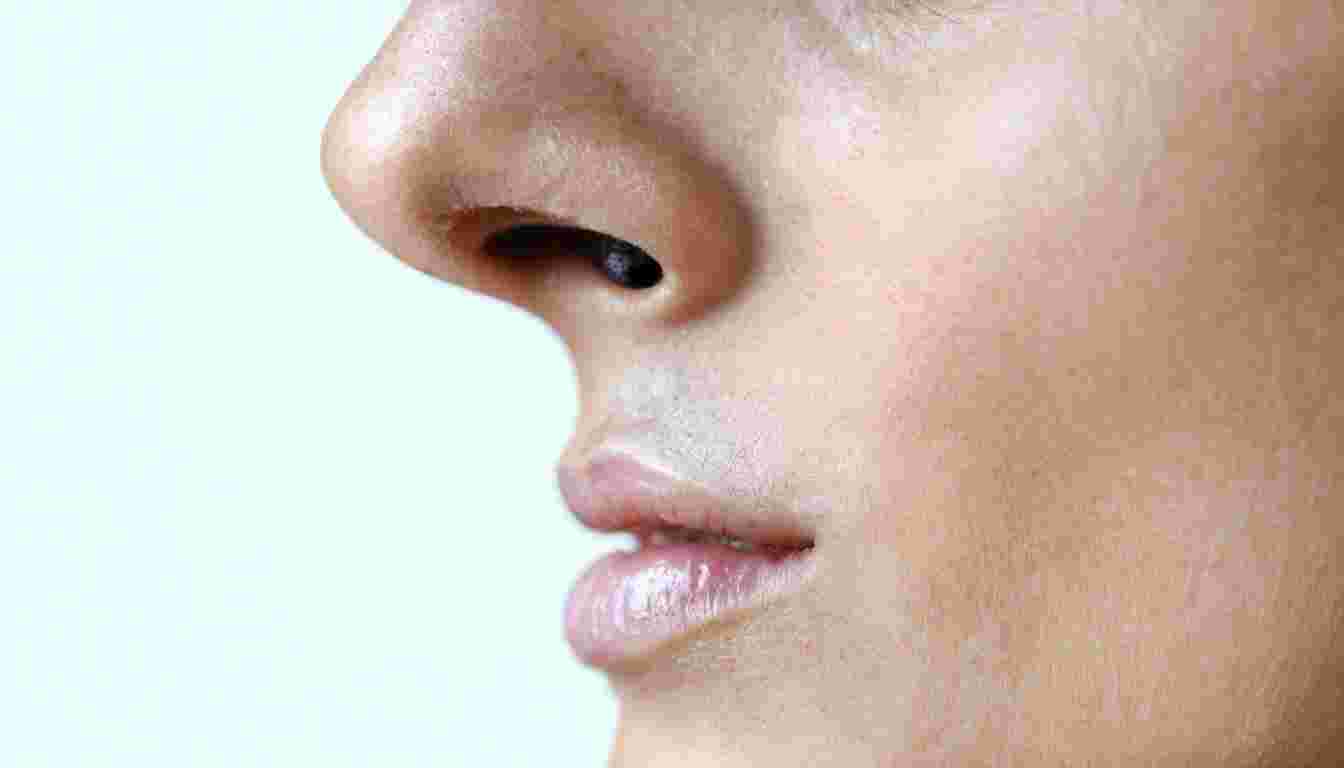 Anatomical features, blood supply, and nerve innervation of the nasal septum and lateral wall of the nose